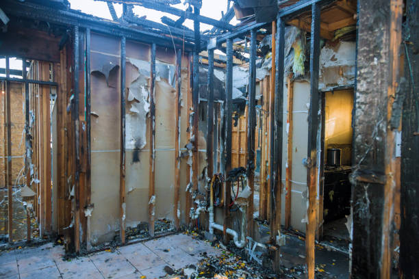 Professional Odor Removal technician working in Rye Brook, NY